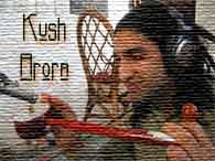 Kush Arora, Experimentalist of Bhangra music